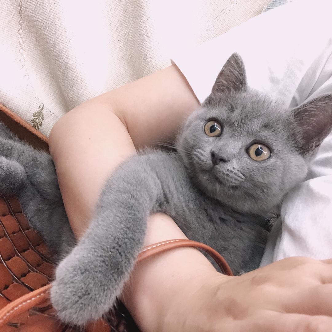 瓶子