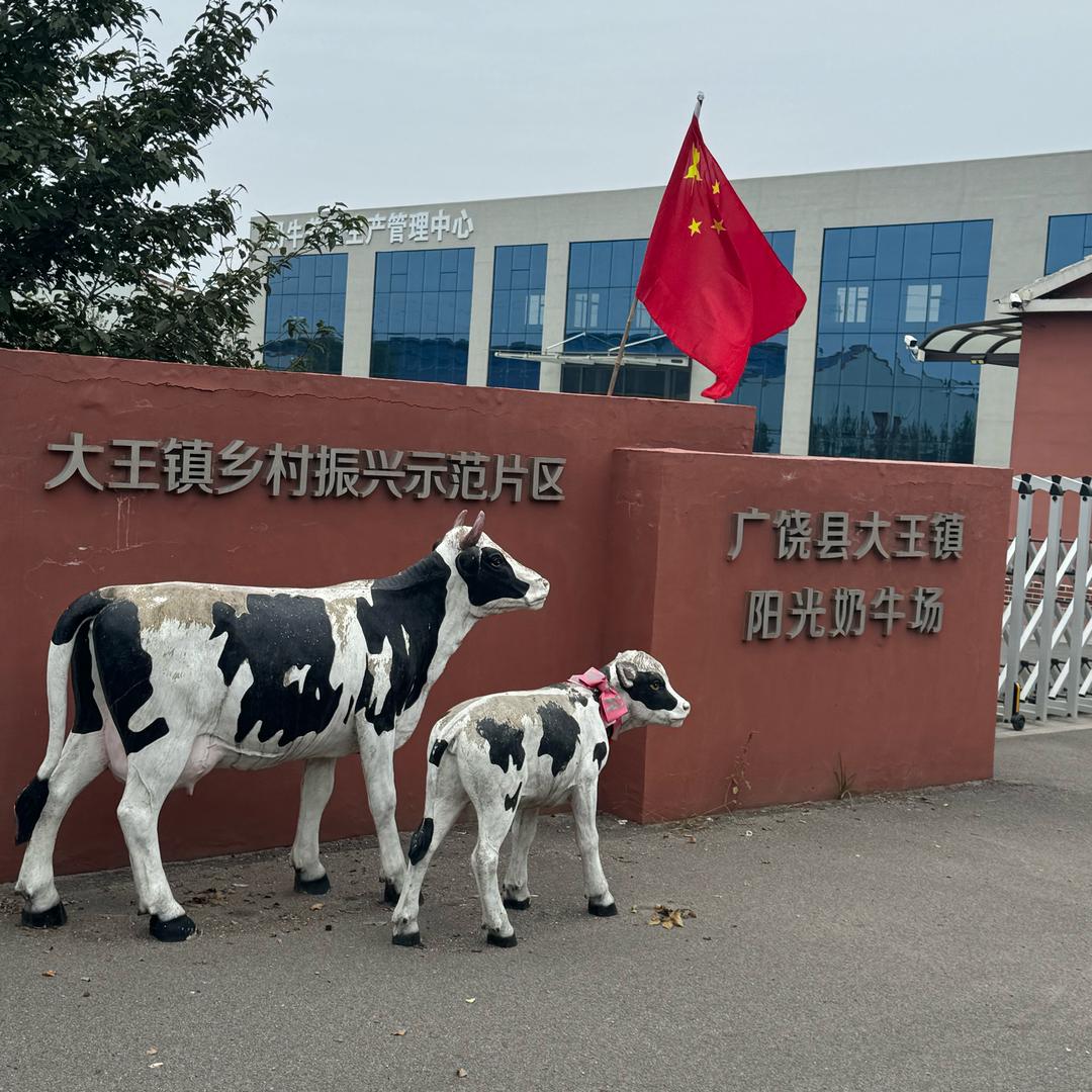反骨不是盘古