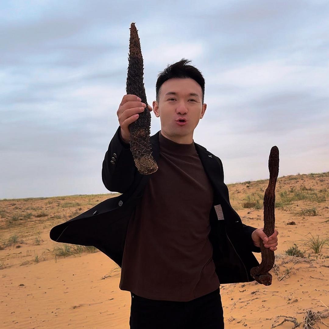 小宇爱特产（阿拉善肉苁蓉）