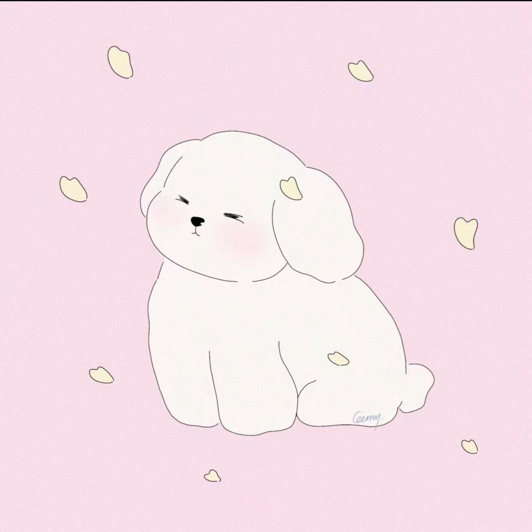 玢哈尼（见过4次赵露思版