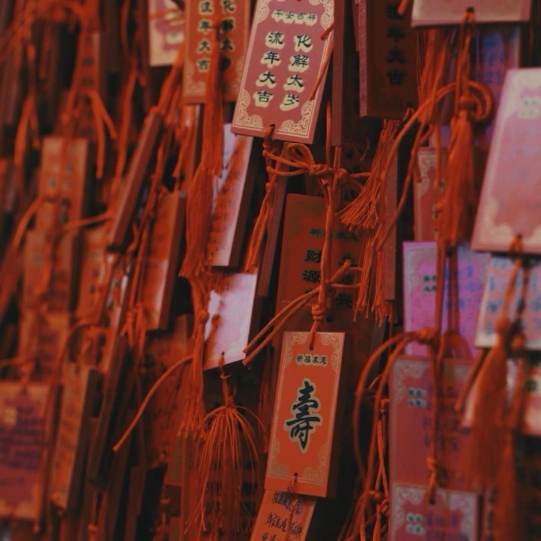 顾雅士利