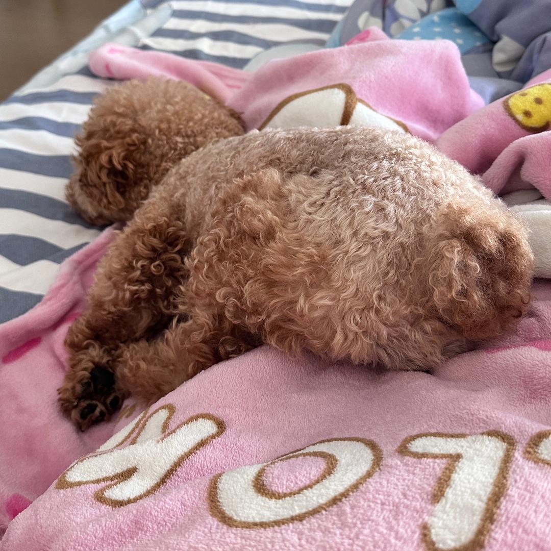 小熊🐻