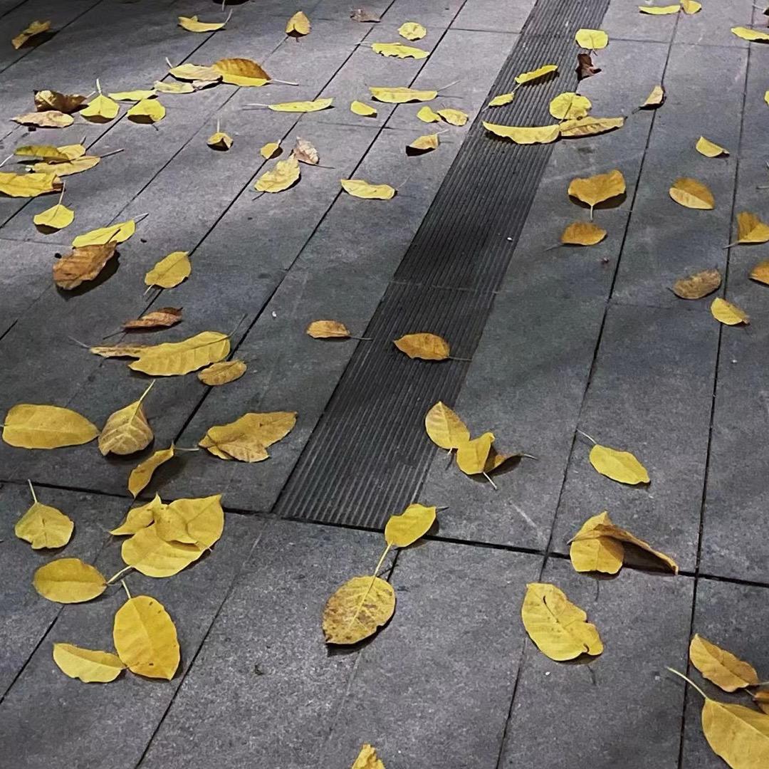 晴天。