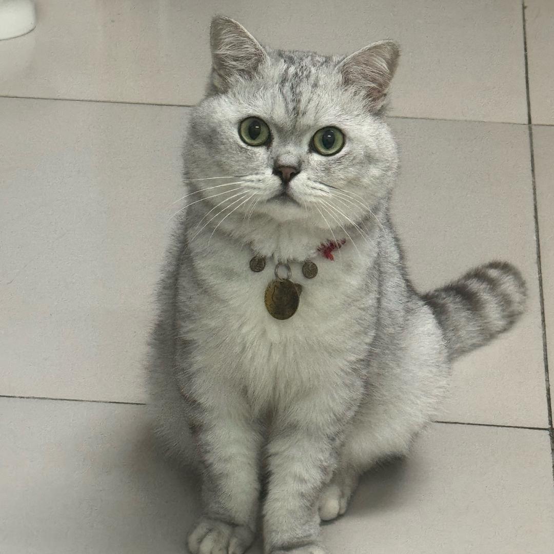 蓝宝༨五月妈