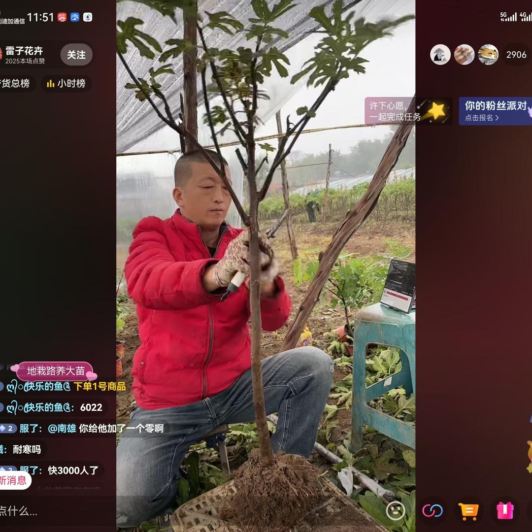 雷子花卉
