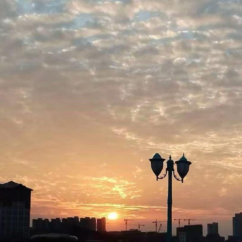 一心向阳