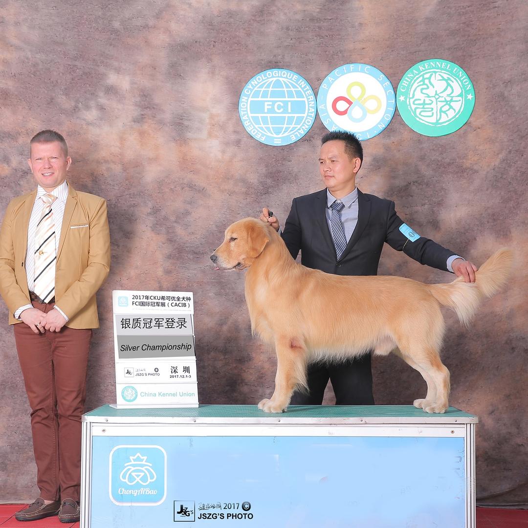 东莞耀星犬舍