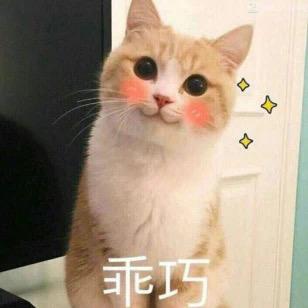 倘若流年念而不忘