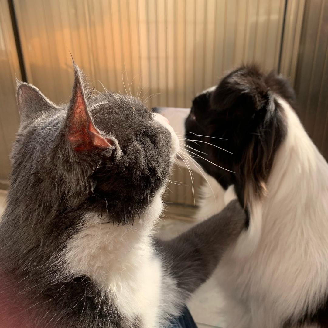 口袋里的糖崽🍬