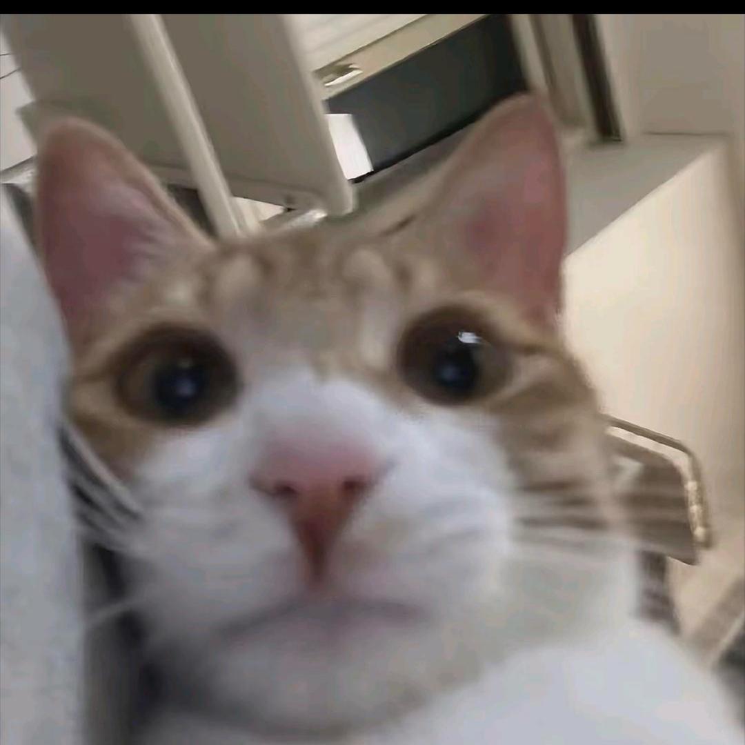 大鱼想吃烧烤