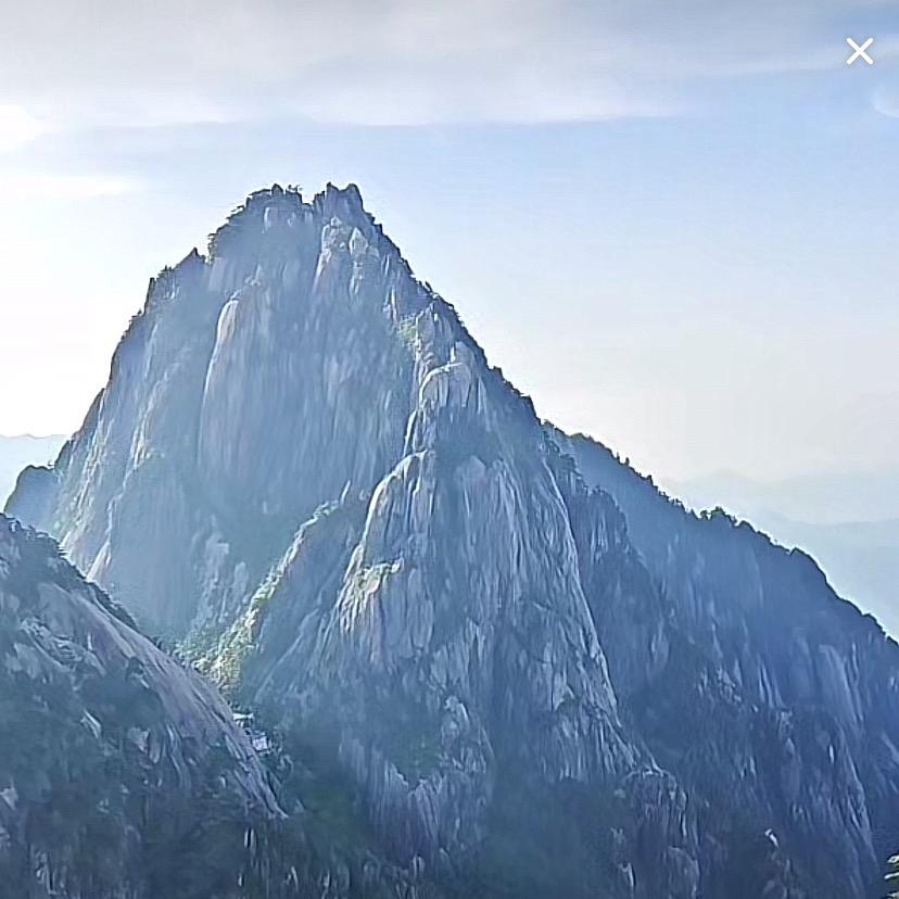 酒哥🍺小烧🍺