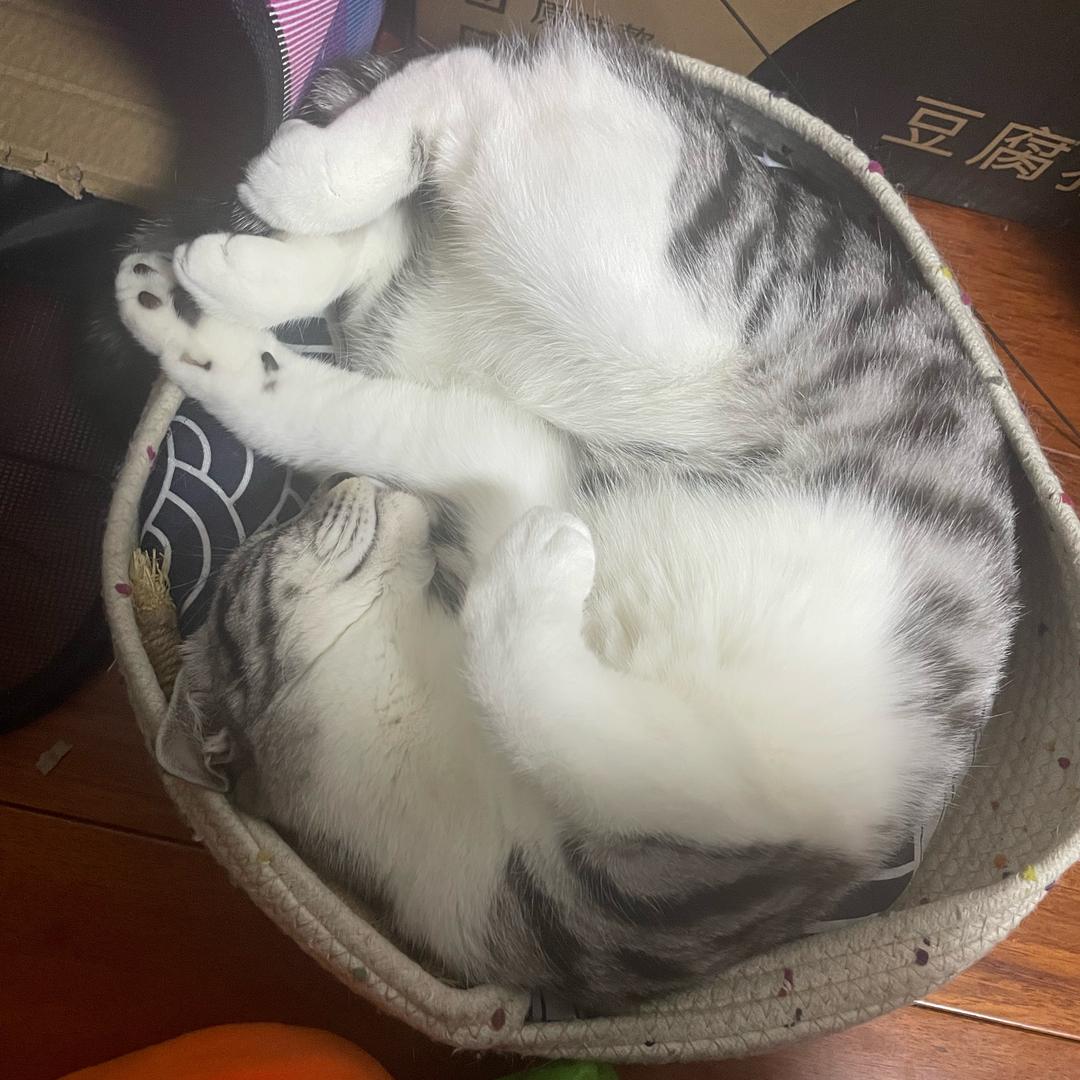 啦啦啦