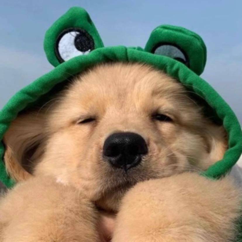 PP的小世界(约拍)