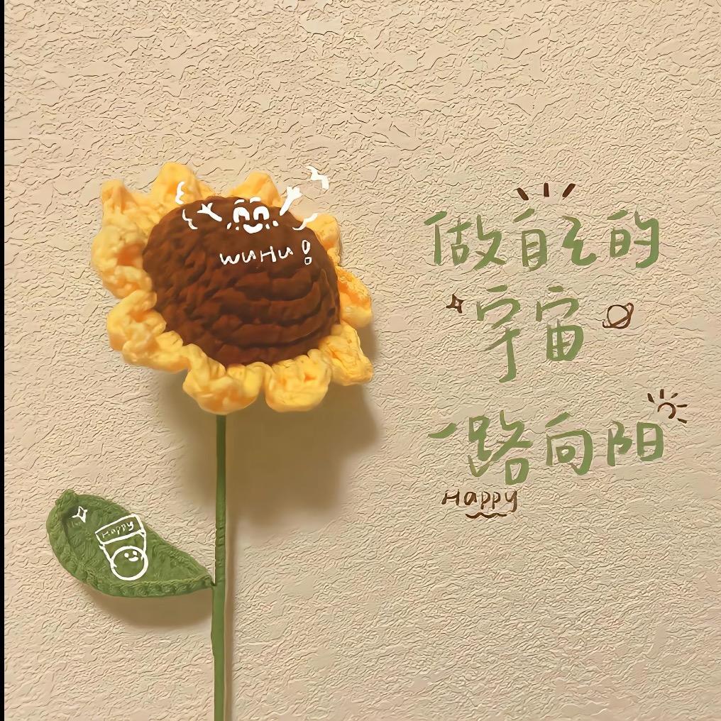 嘿，洪豆妮(๑><๑）