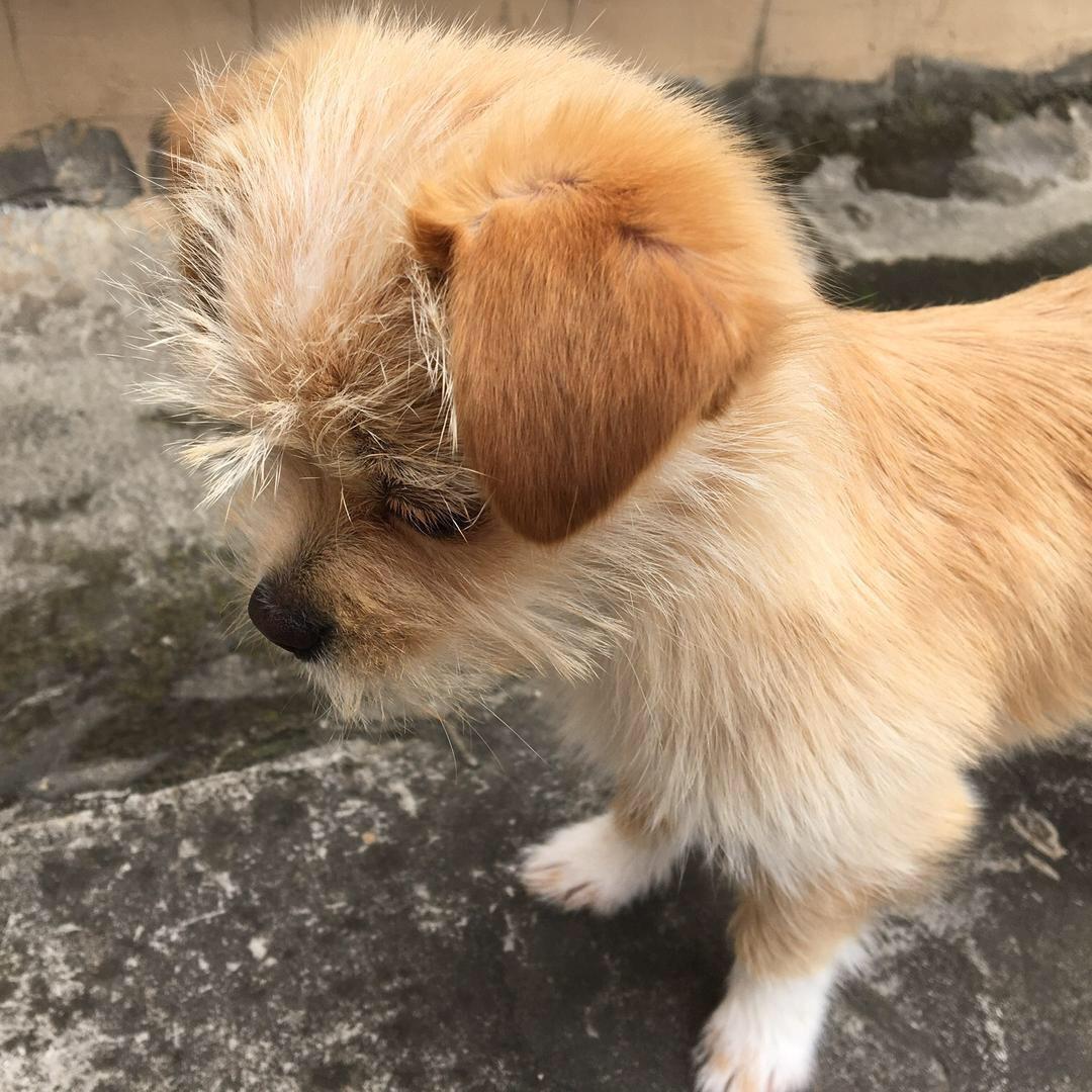 叮当宝贝