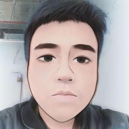 dota大树