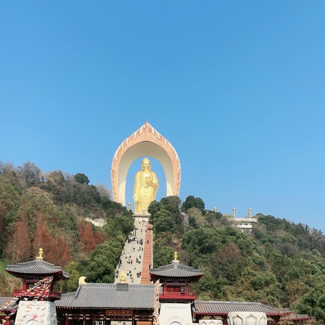 毒刺玫瑰