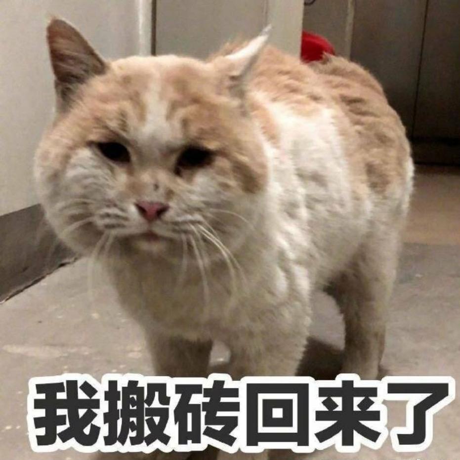 伟伟大