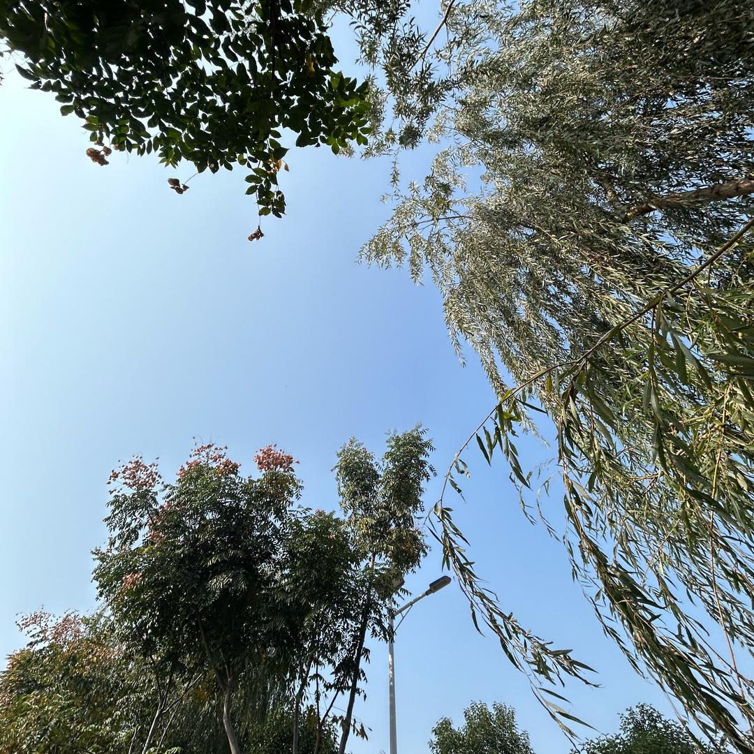 丹🍒