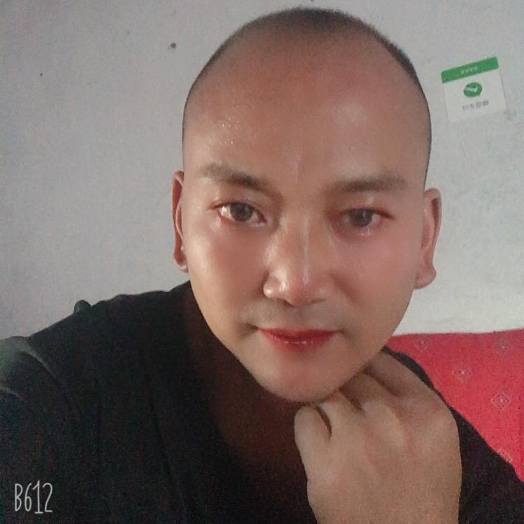阳飞