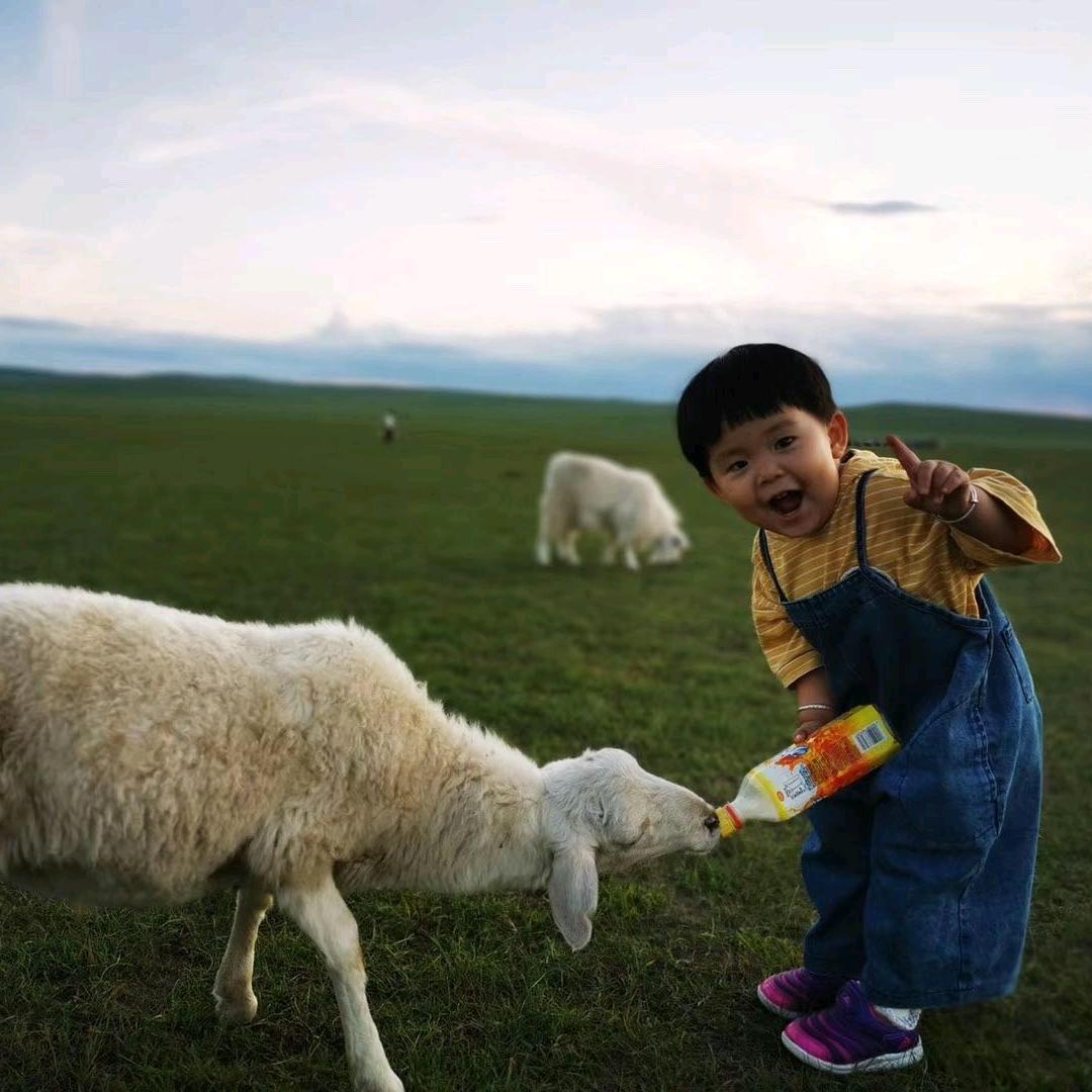 漫小驿图书专营店小乐爸爸玩具绘本@抖音