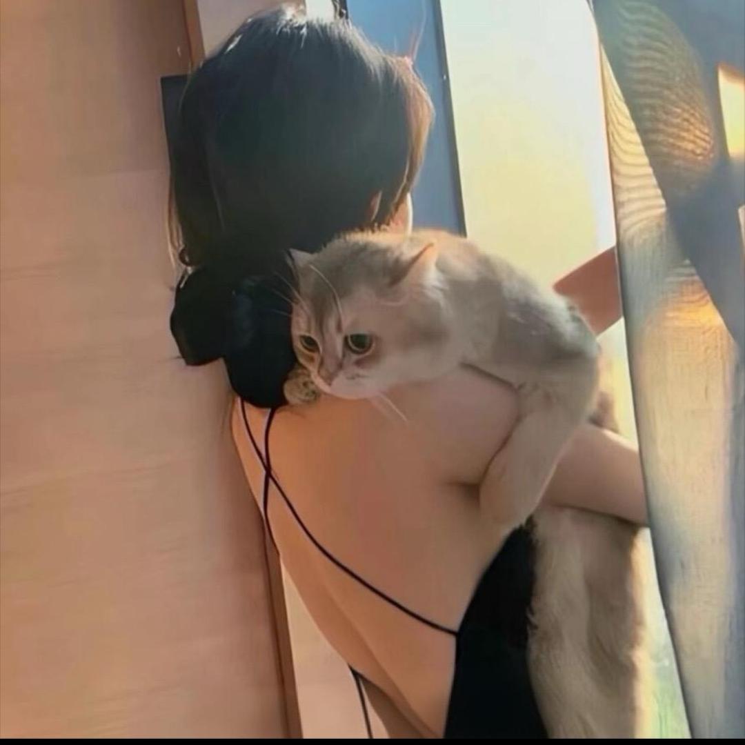 ✨小爱