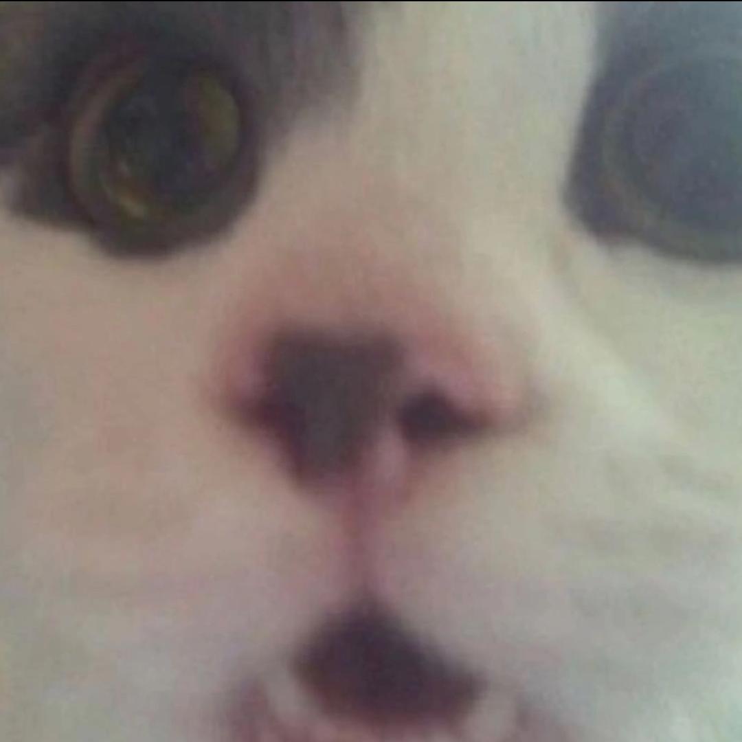 ·起司我了-