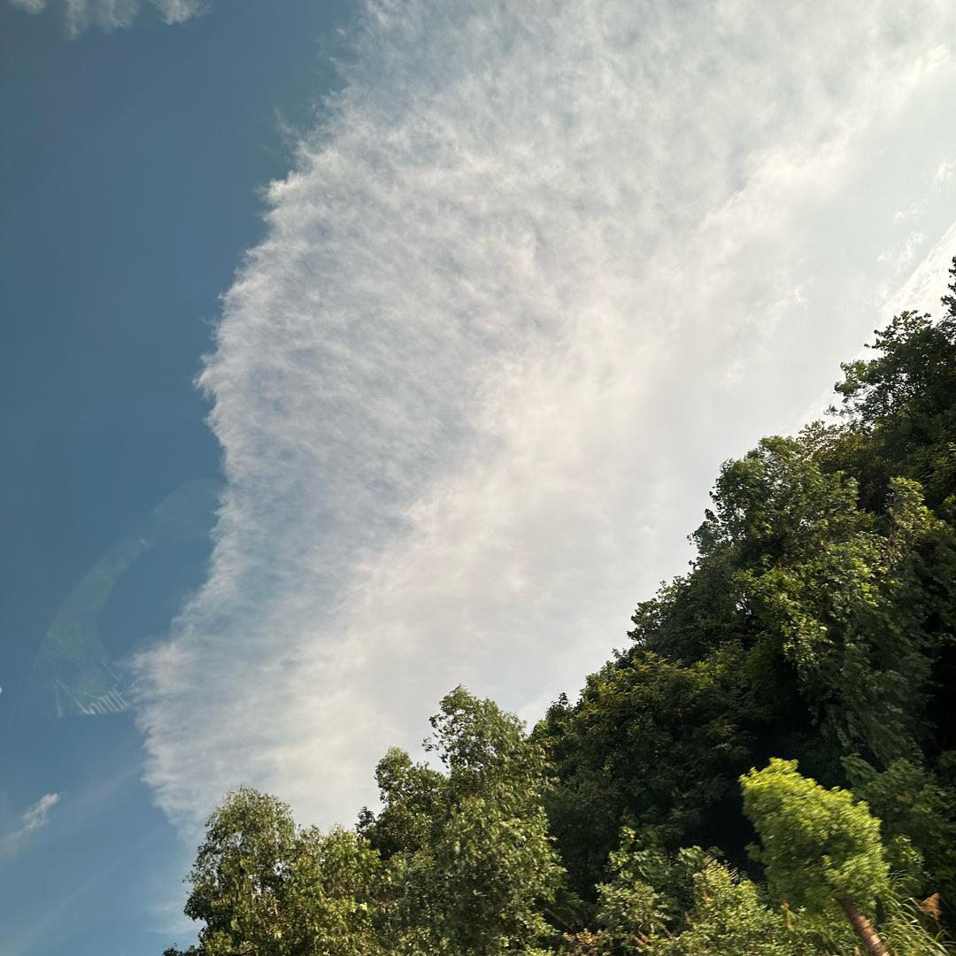 AAA海口零售商贸