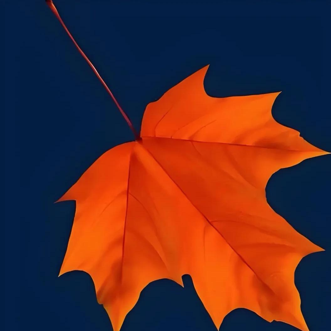 ࿐རིགས་ཐིགས།