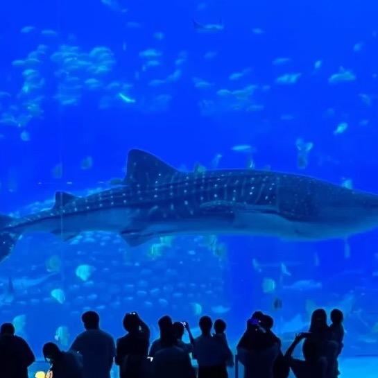 珠海长隆酒店门票特惠团购