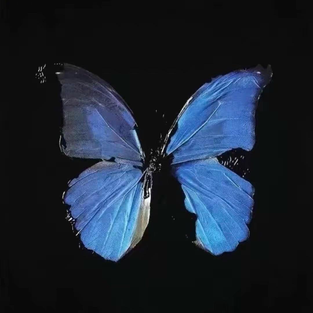 不是阿杰啊🦋