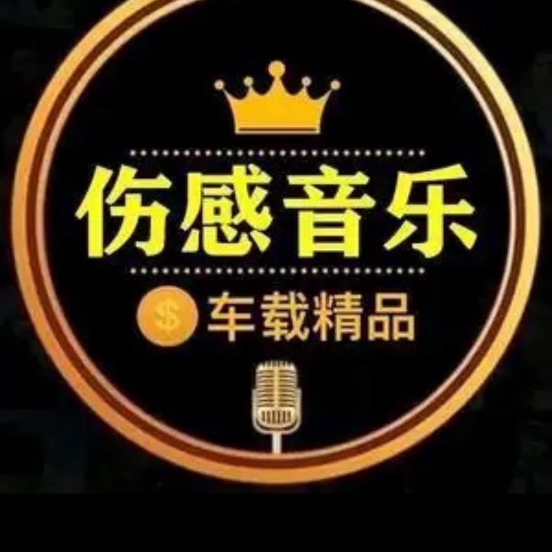 林琳，(音乐会)