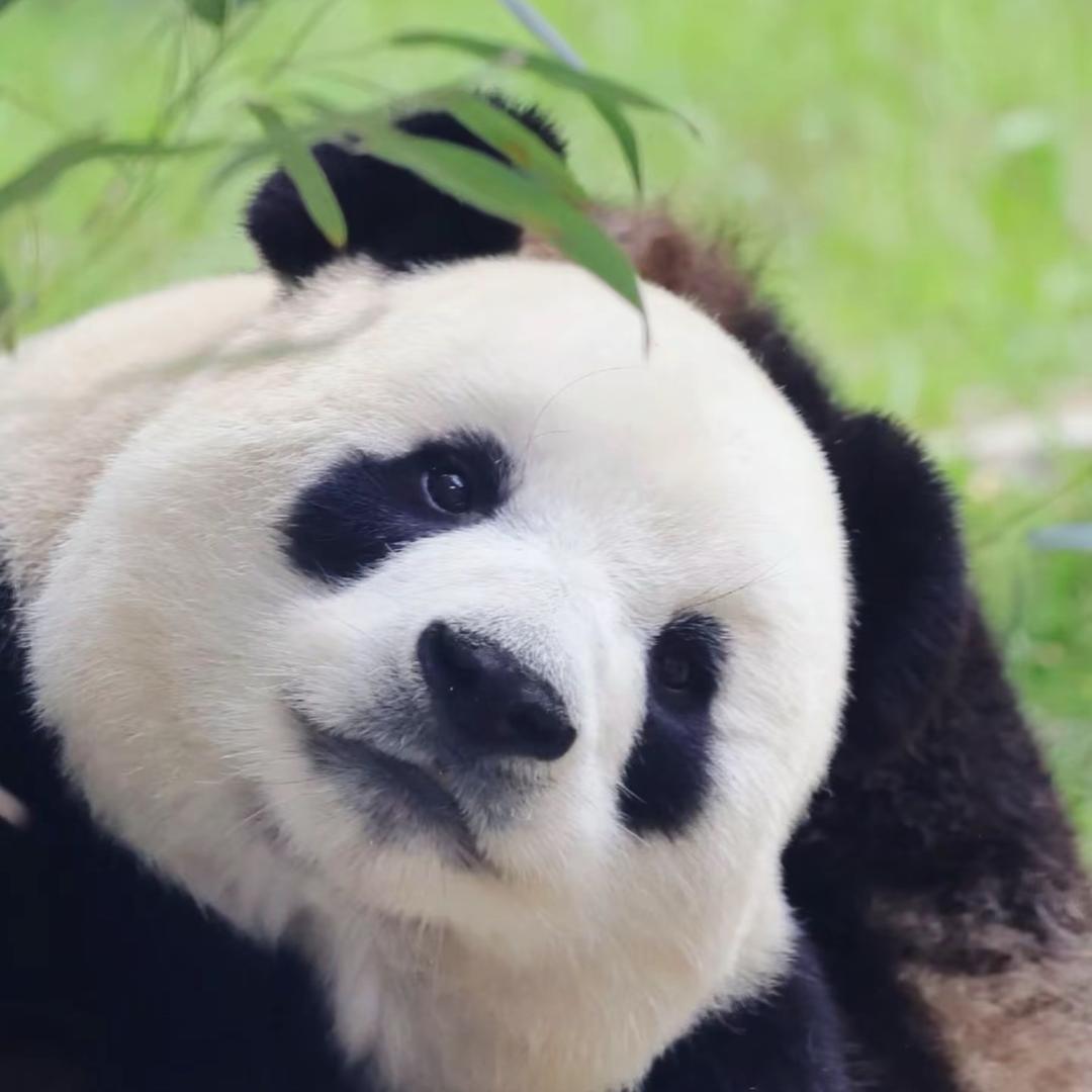 钮祜禄.夏染¹⁹⁹⁸