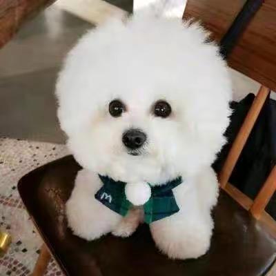 发财