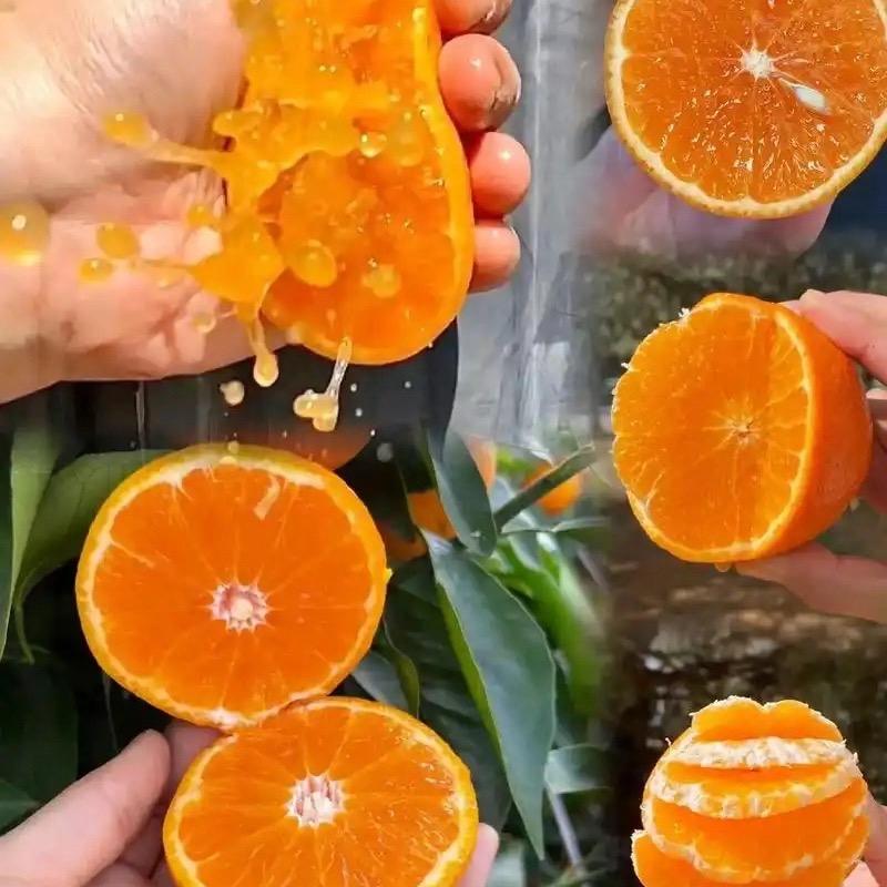 云朵果鲜鲜的头像