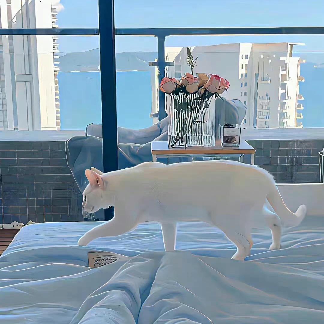 事事顺遂平安喜乐