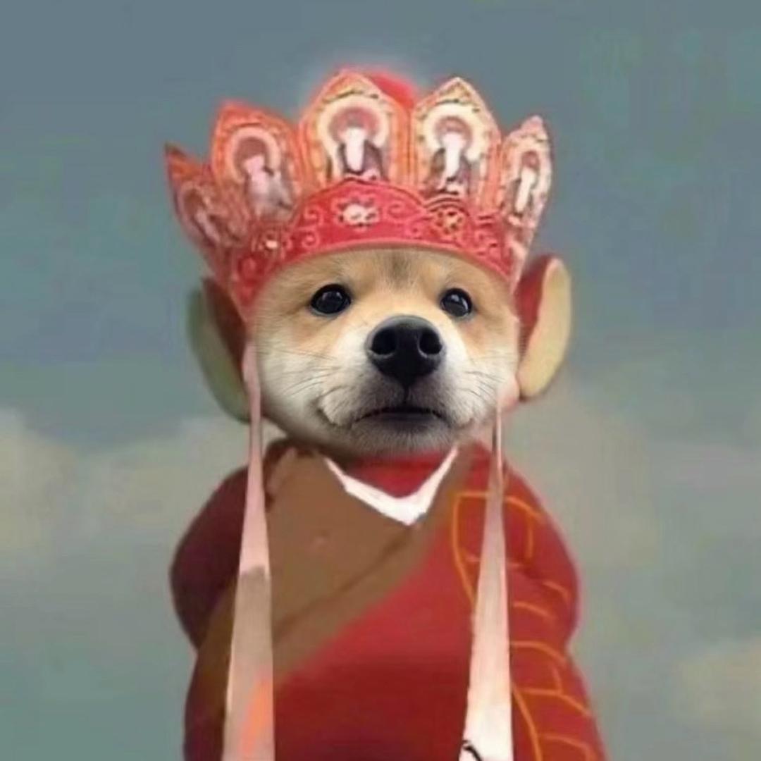 这条小鱼在乎（三角洲行动）