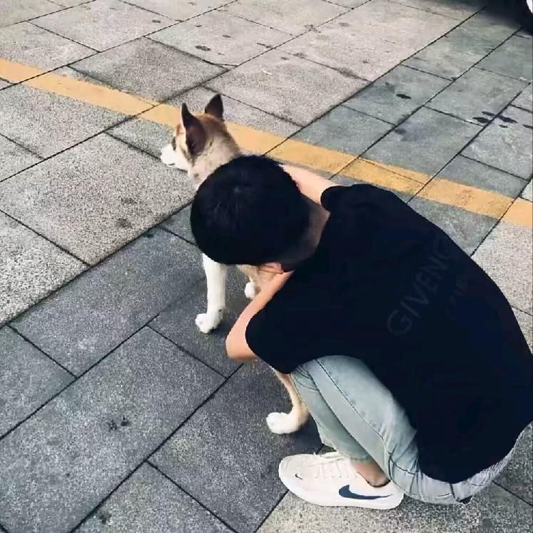 骗个乖乖女回家