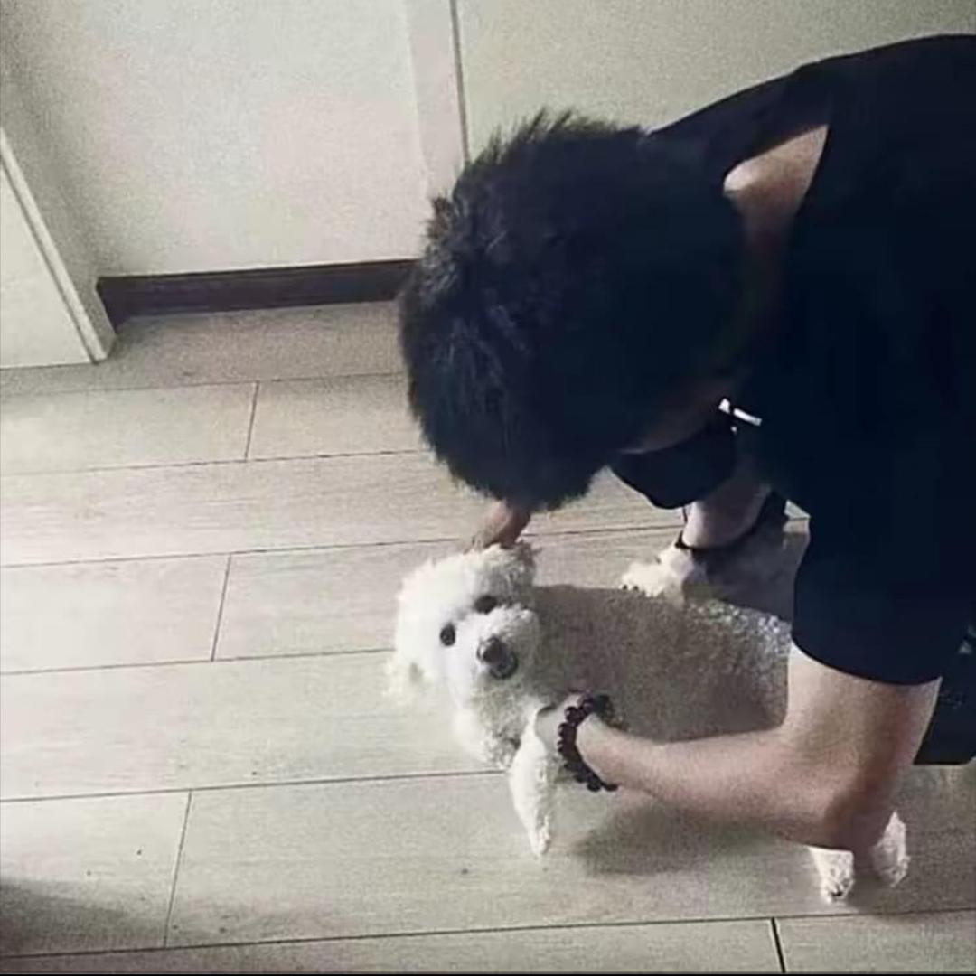 劉梓腾