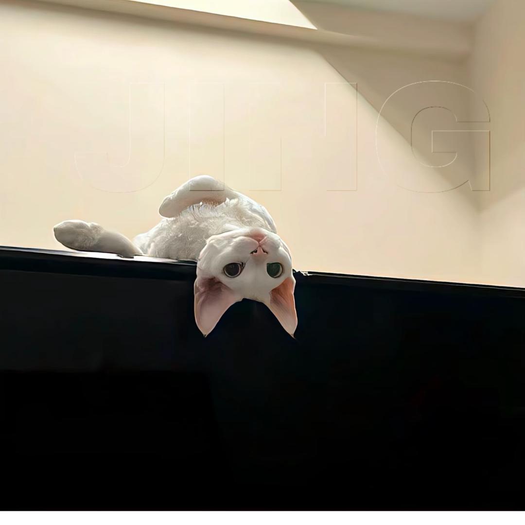 Ö椰.