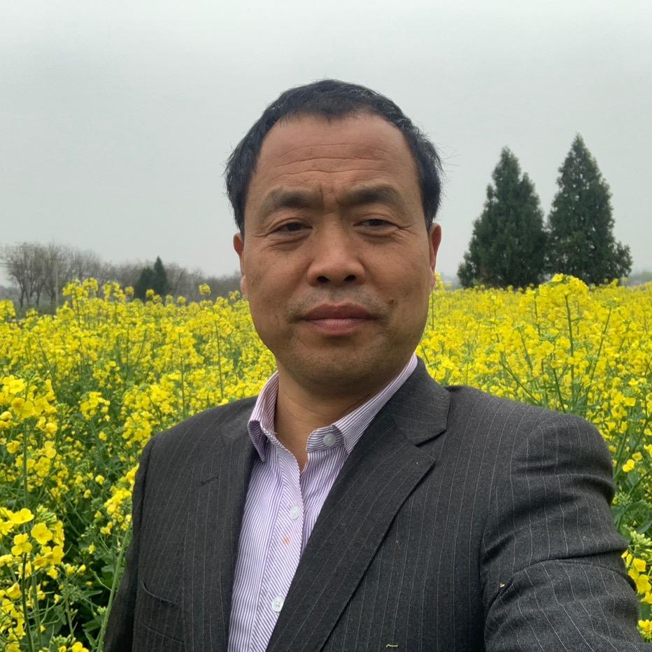 花好月圆: