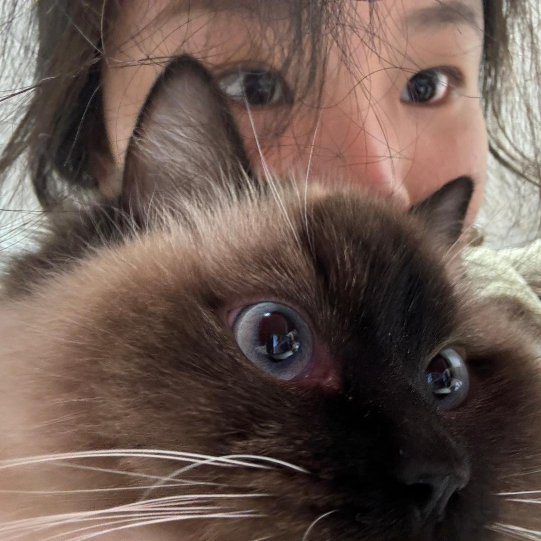 小璃心绪Kitty