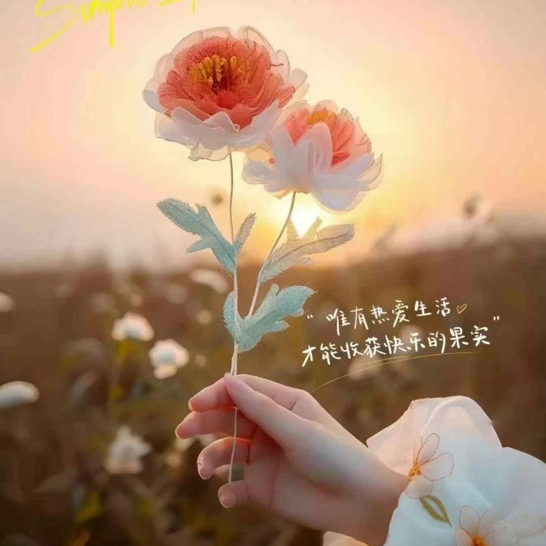 ᰔᩚ᭄𝓽𝓲𝓷໌𝓰婷ᩚ࿐🕊: