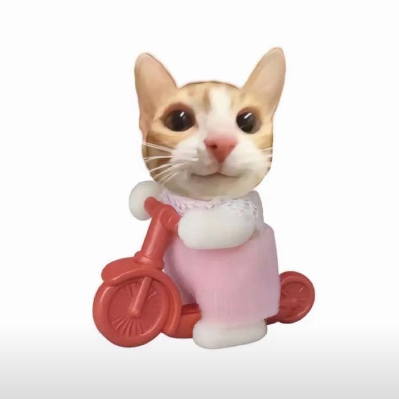 猫二喵meme