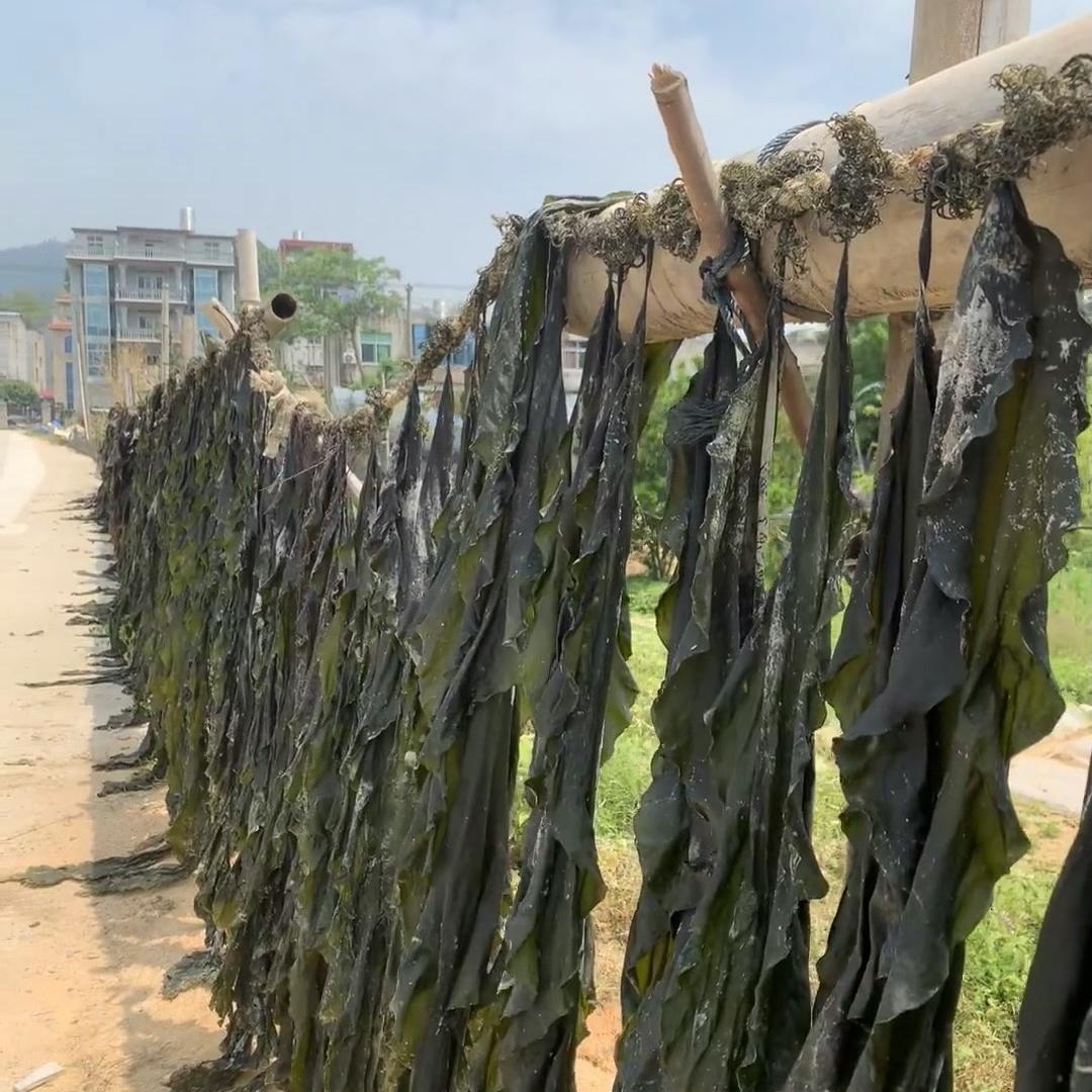 霞浦三点海品源工厂