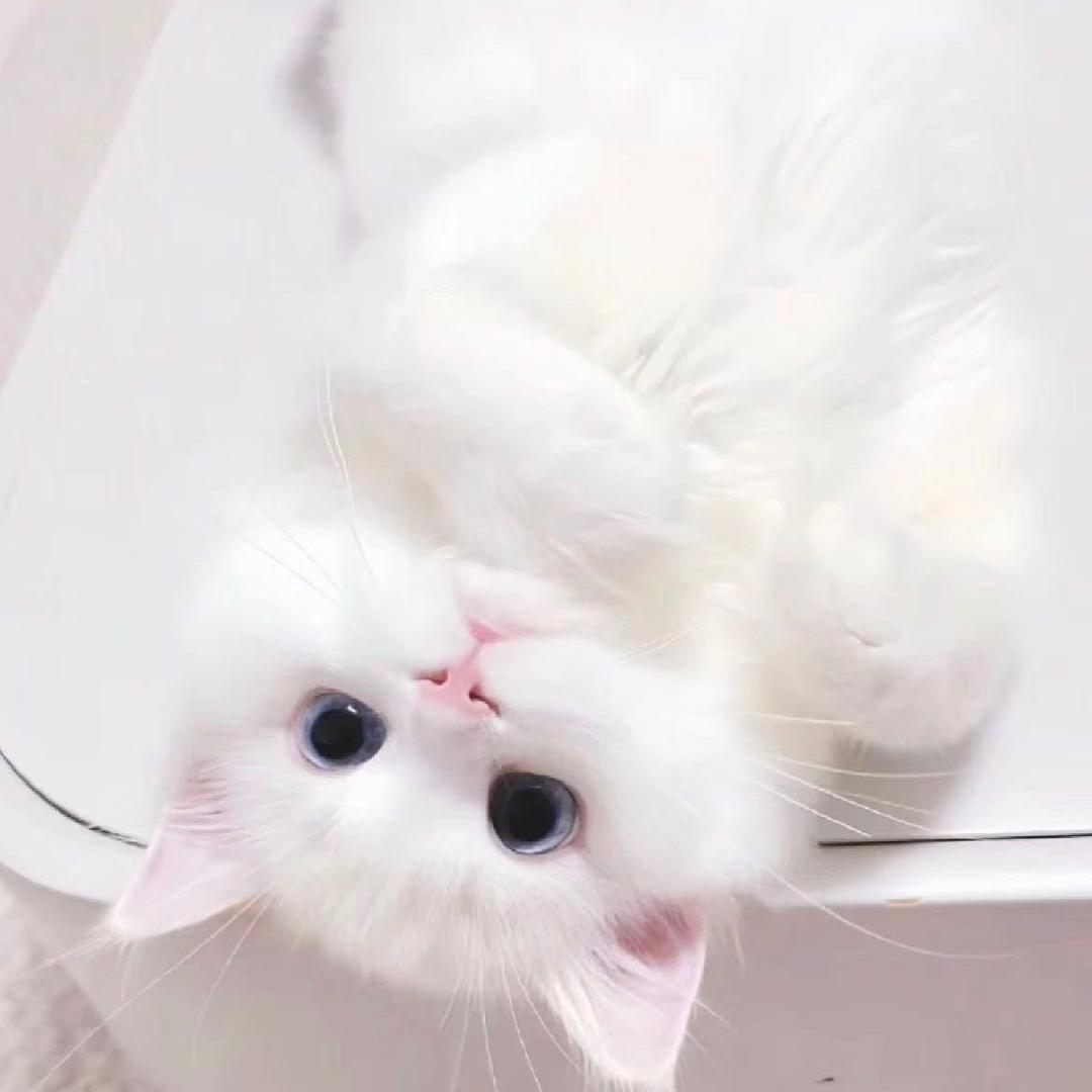 小漪