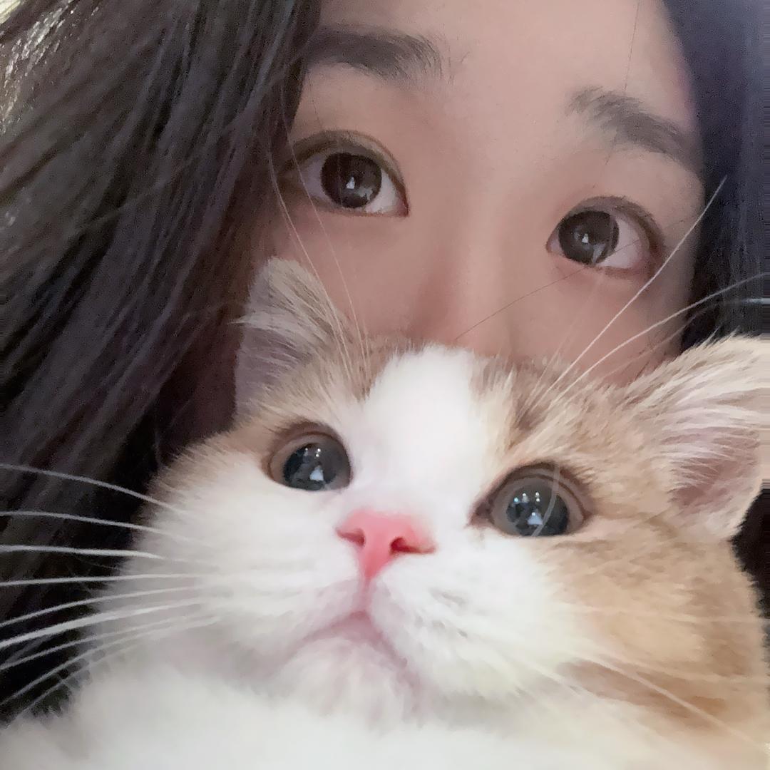 Mia爱吃煲仔饭