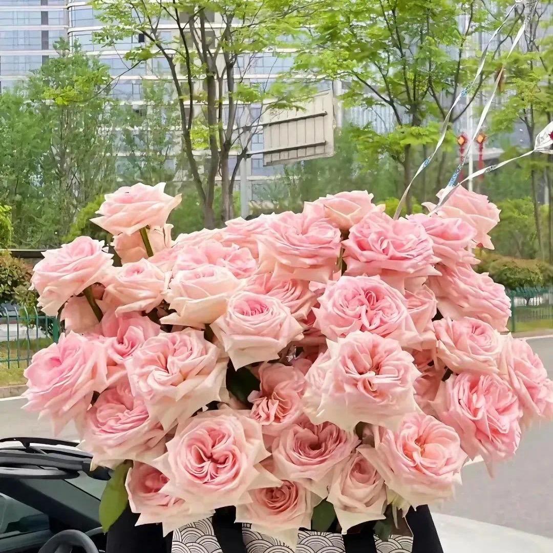 快乐每一天🎉