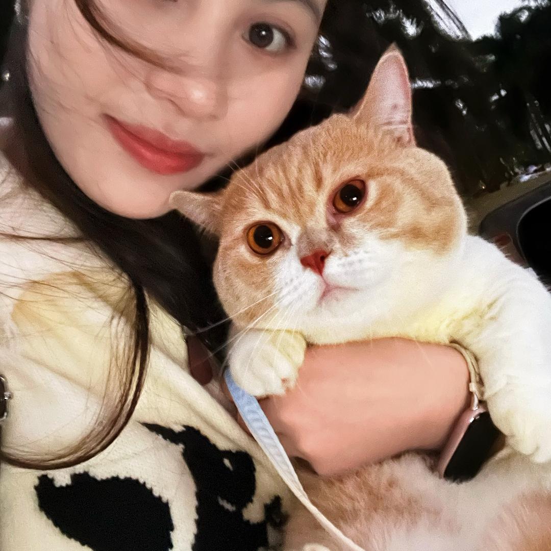 努力赚钱养冰冰