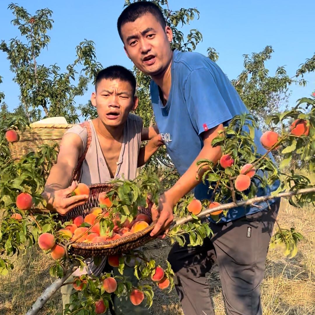 励志俩兄弟